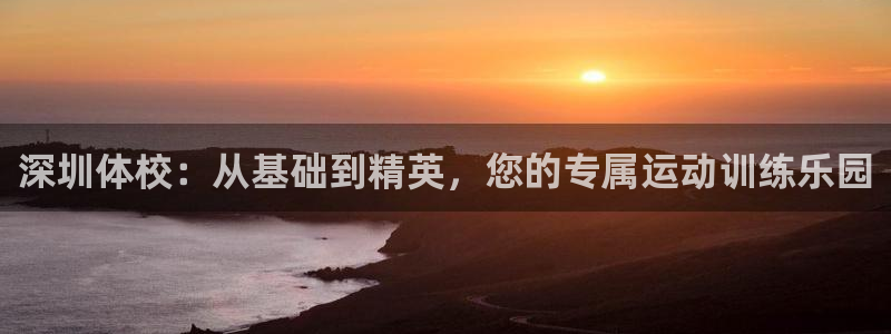 球速体育充值在哪里：深圳体校：从基础到精英，您的专属运动训练乐园