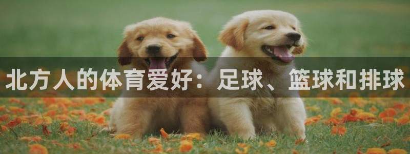 球速体育welcome：北方人的体育爱好：足球、篮球和排球