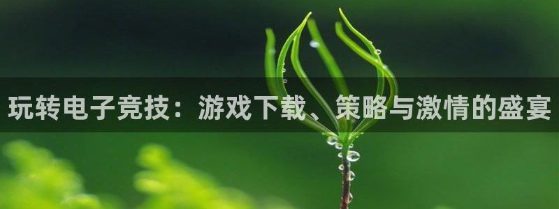 球速体育可以提款吗：玩转电子竞技：游戏下载、策略与激情的盛宴