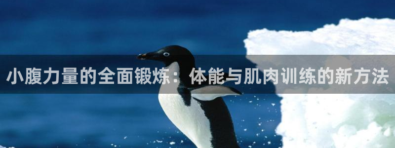 球速体育老板是谁：小腹力量的全面锻炼：体能与肌肉训练的新方法