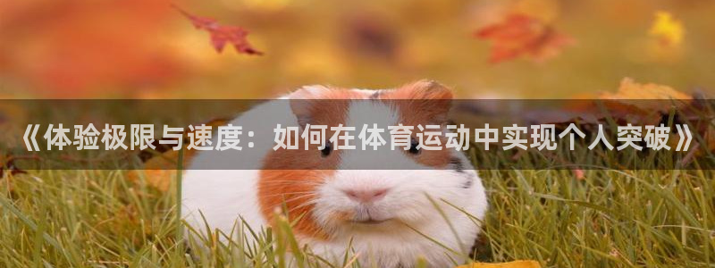 球速体育首页：《体验极限与速度：如何在体育运动中实现个人突破》