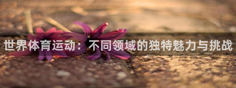 球速体育输入x655 in：世界体育运动：不同领域的独特魅力与挑战
