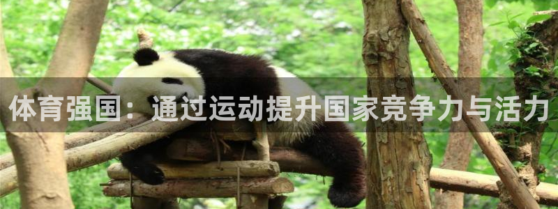 球速体育网页版登陆：体育强国：通过运动提升国家竞争力与活力