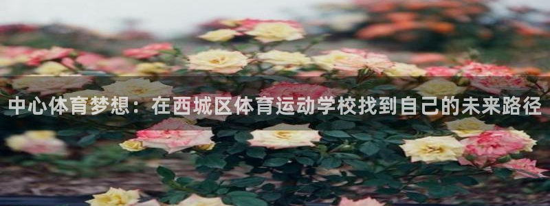球速体育下载：中心体育梦想：在西城区体育运动学校找到自己的未来路径