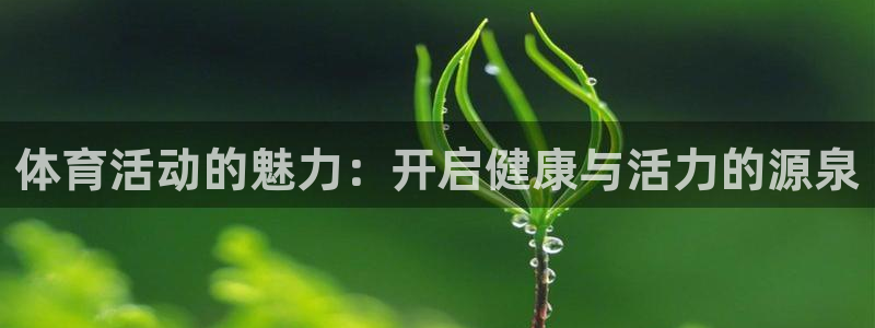 球速体育集团：体育活动的魅力：开启健康与活力的源泉
