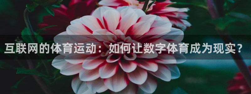 球速体育可以提款吗：互联网的体育运动：如何让数字体育成为现实？