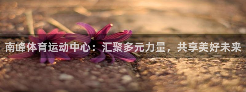 球速体育网址是多少：南峰体育运动中心：汇聚多元力量，共享美好未来