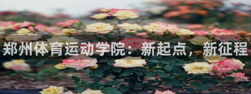 球速体育开设赌场：郑州体育运动学院：新起点，新征程
